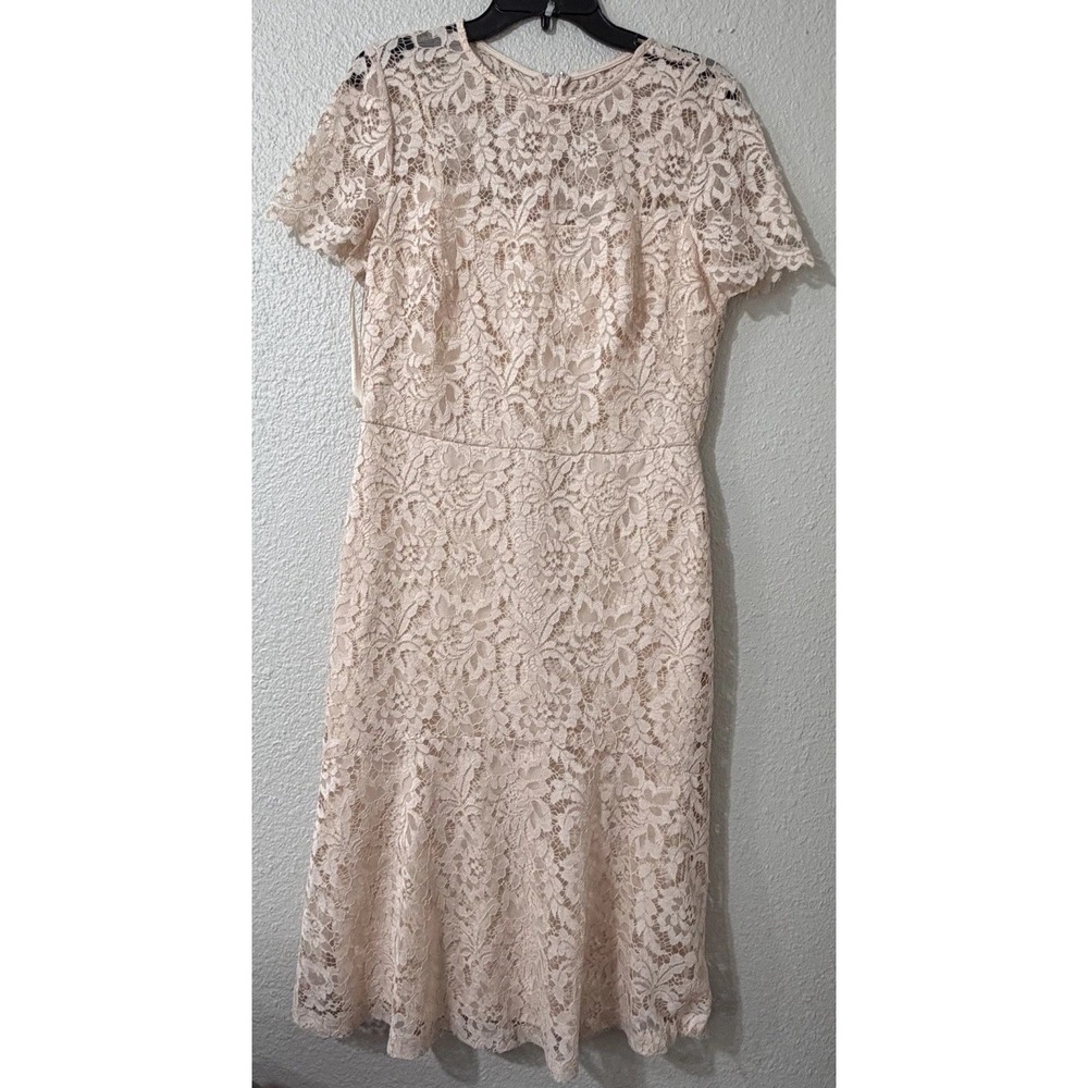 Ralph Lauren 10 Women's Dress Lace Dressy Formal Lined Knee Length Designer